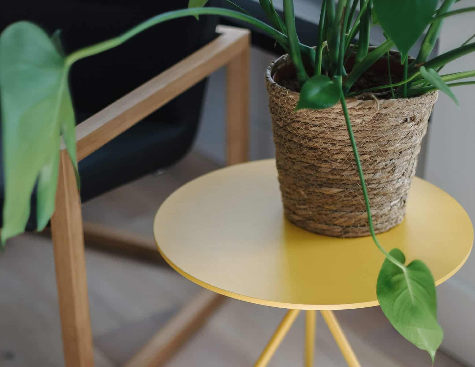 Woontrend- planten op je tafeltjes